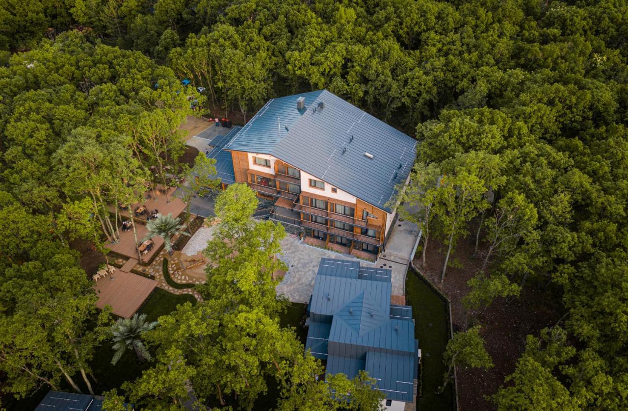 Utopia Forest Burgas Extérieur photo