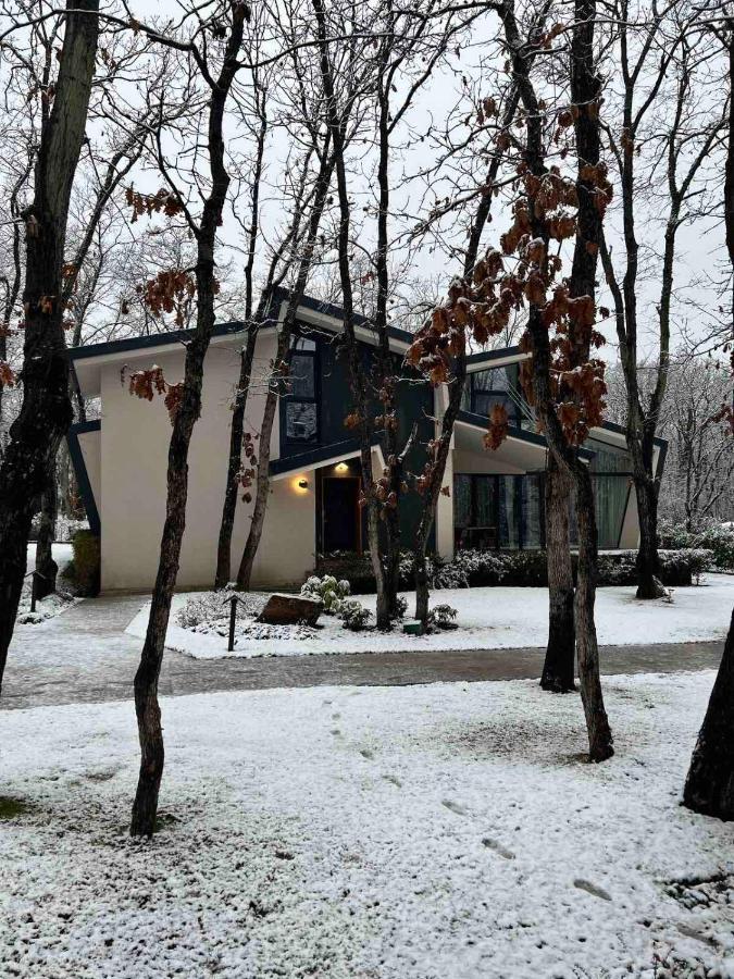 Utopia Forest Burgas Extérieur photo